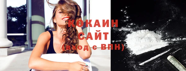 кокс Богородицк