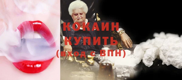 кокс Богородицк