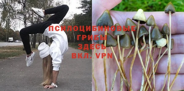 кокс Богородицк